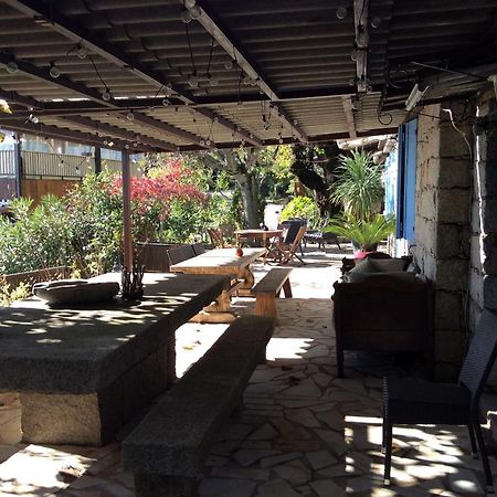 Bed and Breakfast A Tigliola Porto-Vecchio  Exterior foto